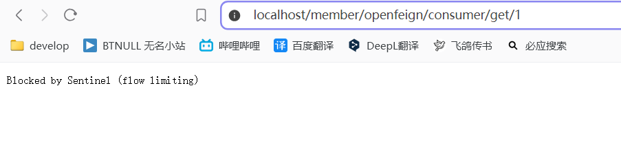 image-20240929201916546