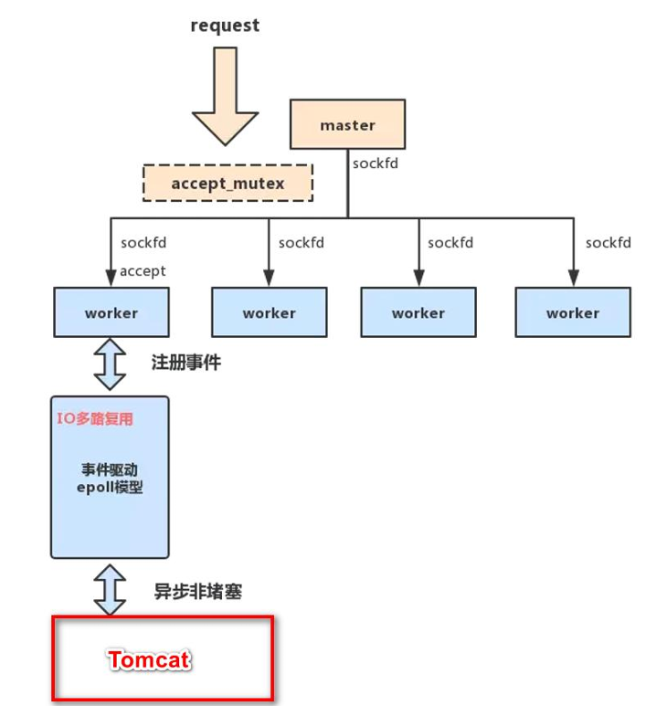 image-20241015210128864
