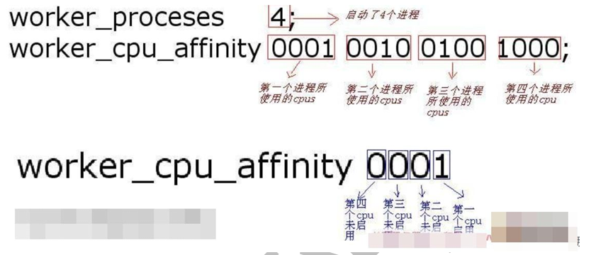 image-20241015211252236