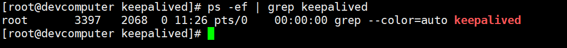 image-20241015232728926