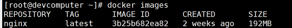 image-20241019150708375