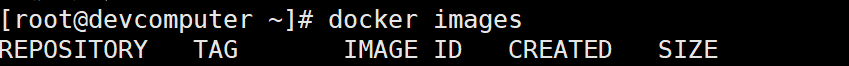 image-20241019152508381